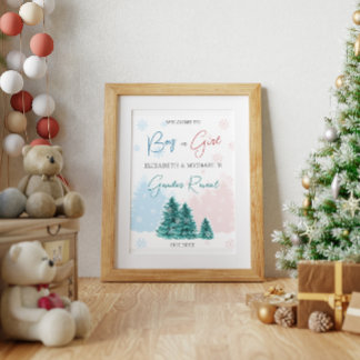 Póster Navidades Fiesta de revelación de género en invier