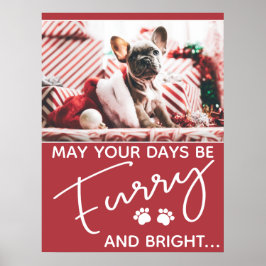 Póster Navidades furtivos rojos con patas blancas y fotos