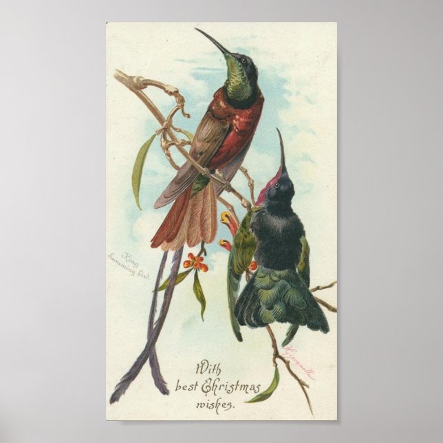 Póster Navidades Hummingbirds (Frente)