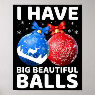 Póster Navidades humorísticos tengo grandes y hermosas na