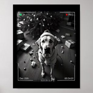 Póster Navidades Labrador Recuperador Atrapado A Cámara