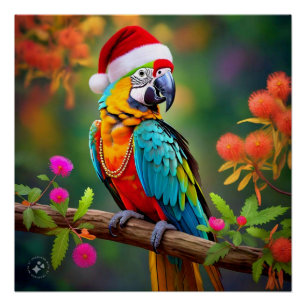 Póster Navidades Macaw Con Un Sombrero Santa-56485
