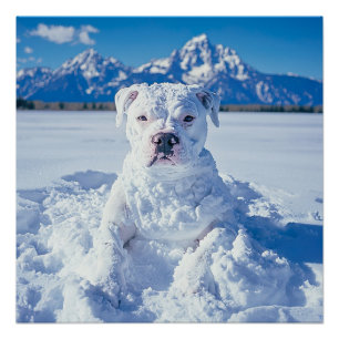 Póster Navidades Pitbull Dog Snowman