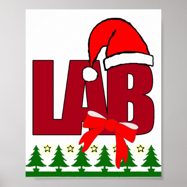 PÓSTER NAVIDADES SANTA LABORATORIO POSTER (Frente)