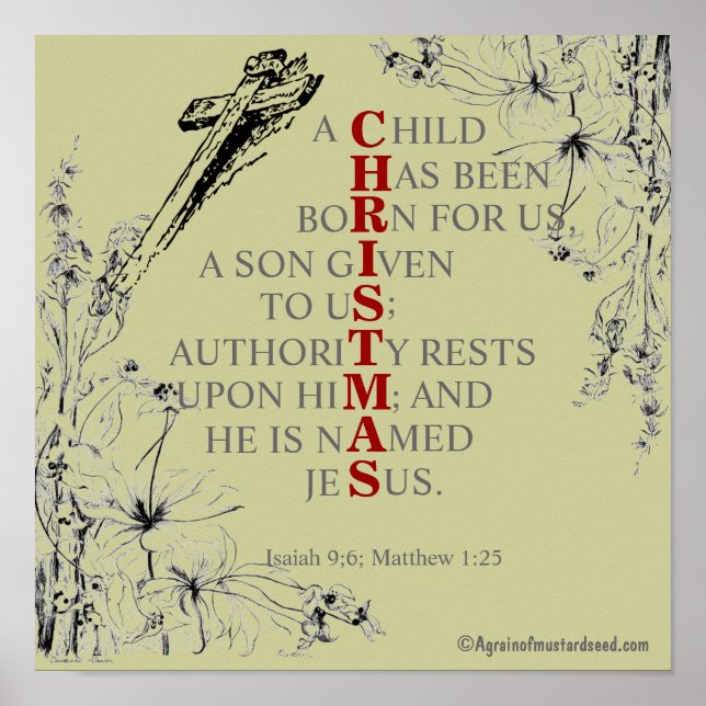 Póster NAVIDADES significa (Frente)