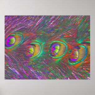 Póster Navidades Tinsel Peacock Feathers