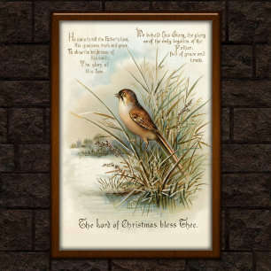 Póster Navidades Vintage 1908 Bird Greeting Card Art
