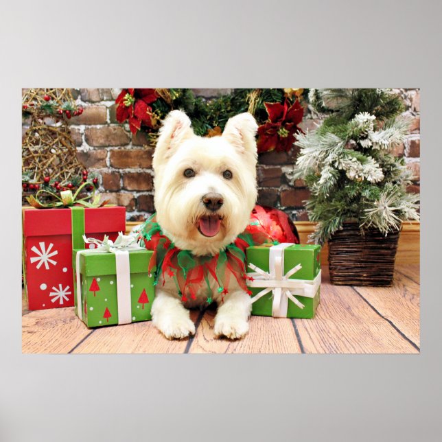 Póster Navidades - Westie - Lucky (Frente)