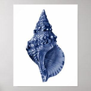Póster Navy Beach Decor Seashell Art 