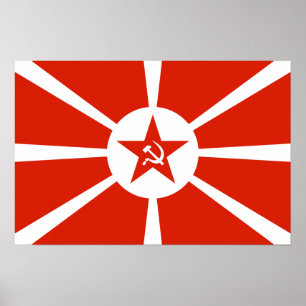 Póster Navy Flag 1923