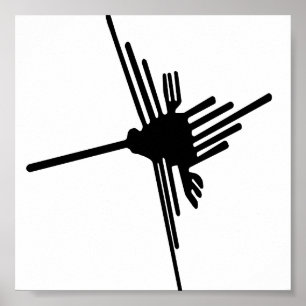 Póster Nazca Hummingbird poster