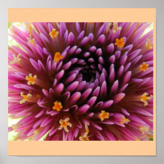 Póster Neblina púrpura