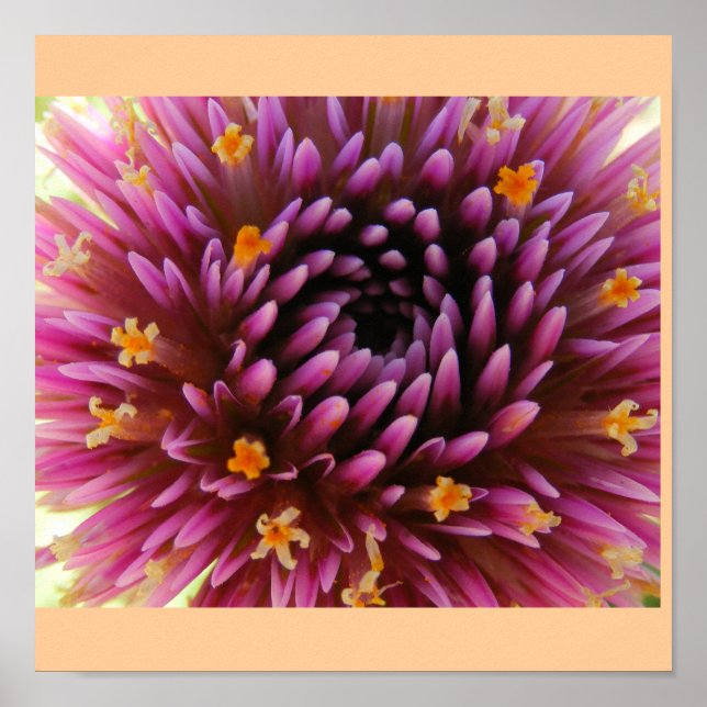 Póster Neblina púrpura (Frente)