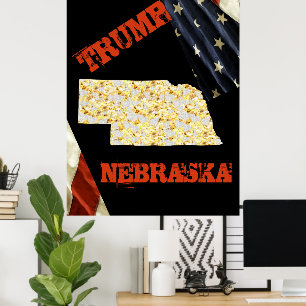 PÓSTER NEBRASKA 
