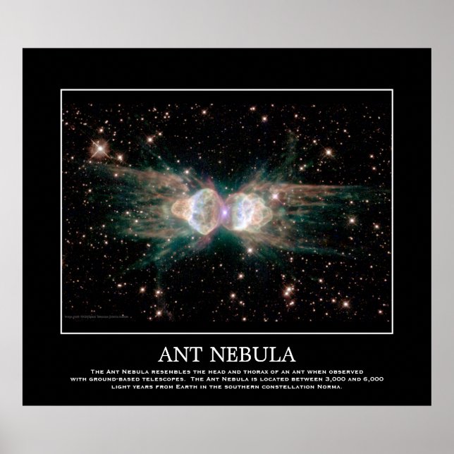Póster Nebulosa Ant - En Constellation Norma (Frente)