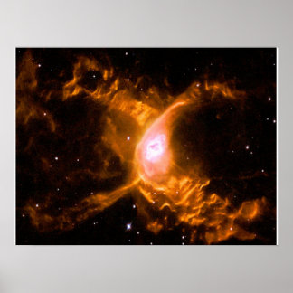 Póster Nebulosa araña gigante | Araña Aovers Gift