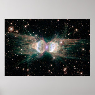 Póster Nebulosa de hormiga 30x20 (27x18)