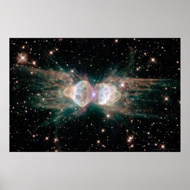 Póster Nebulosa de hormiga 30x20 (27x18) (Frente)
