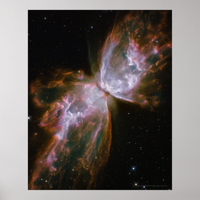 Póster Nebulosa mariposa 16x20 (12x16) (Frente)