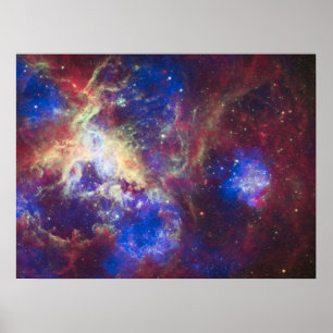 Póster Nebulosa Tarántula