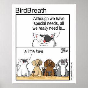 Póster Necesidades especiales