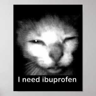 Póster Necesito Ibuprofeno Gato Meme Divertido Gato Tonto