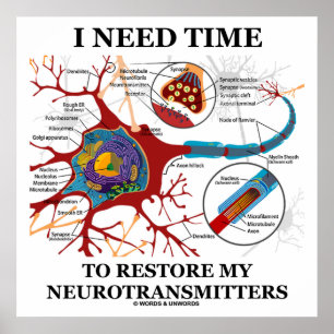 Póster Necesito Tiempo Para Restablecer Mis Neurotransmis