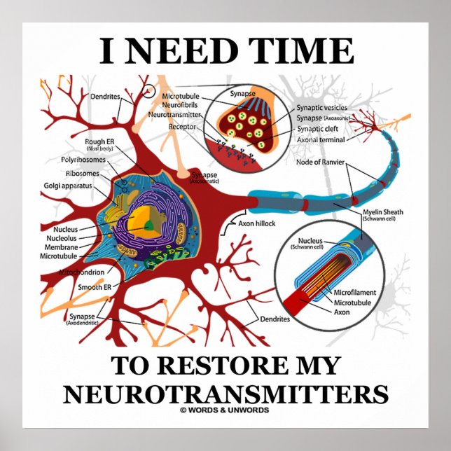 Póster Necesito Tiempo Para Restablecer Mis Neurotransmis (Frente)