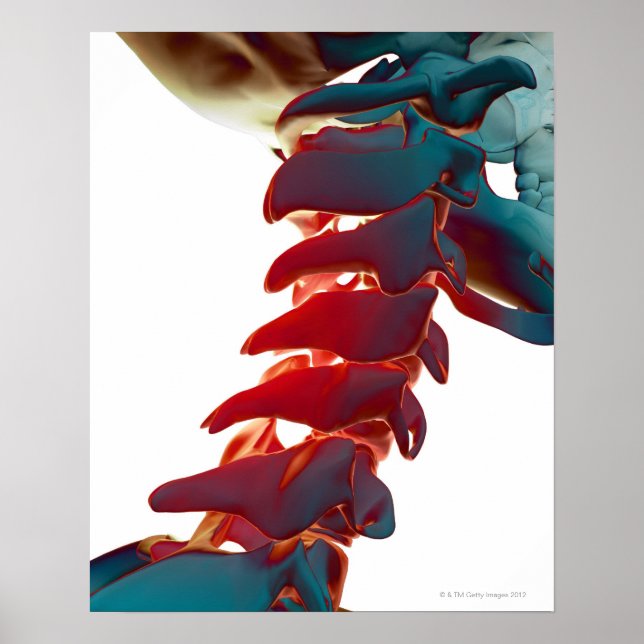 Póster Neck Bones (Frente)