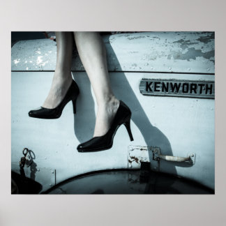 Póster Needlenosa y Stilettos