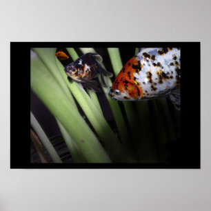 Póster negocio a pescado