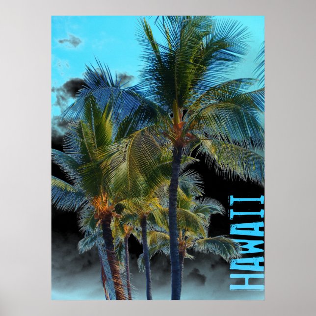 Poster negro de arte de palmera de Hawái (Frente)