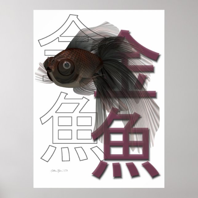 Póster Negro moro (Frente)