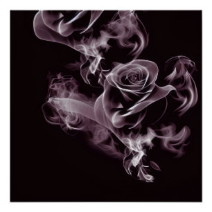Póster Negro - rosa blanco - abstracto.