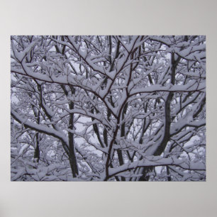 Póster Negro y blanco