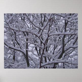 Póster Negro y blanco