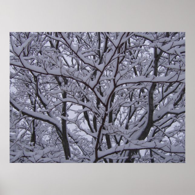 Póster Negro y blanco (Frente)