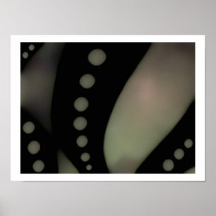 Póster Negro y blanco suave ~ Imprimir / Poster