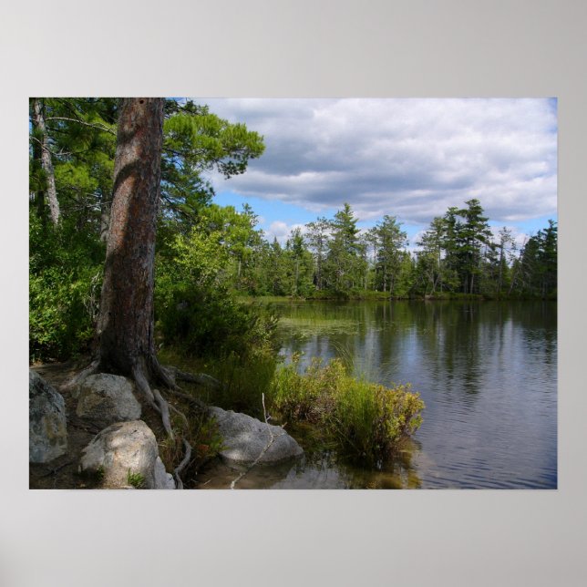 Póster nelligan lake (Frente)