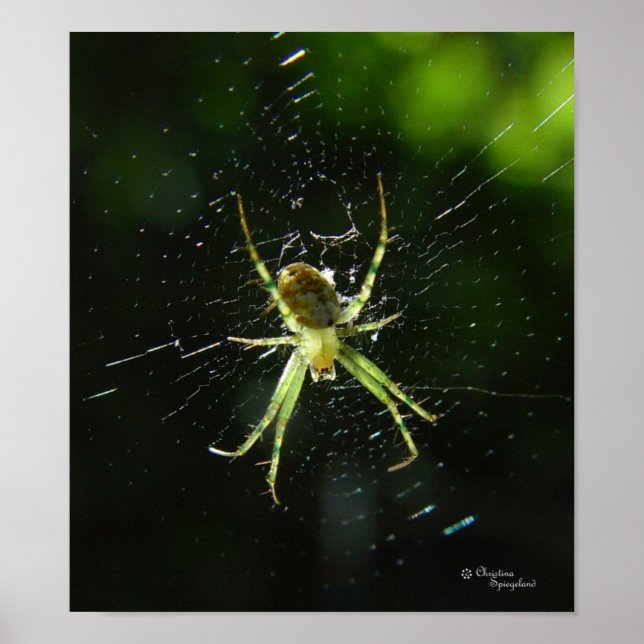 Póster Neon Green Spider Poster (Frente)