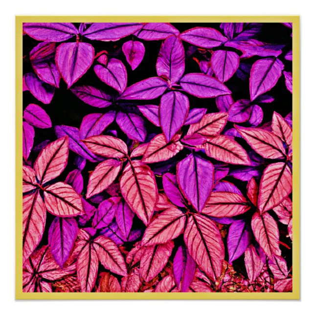 Póster Neon Leaves Wonders (Anverso)