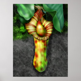 Póster Nepenthes, Ilustracion de planta de cocina