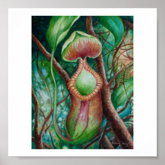 Póster Nepenthes Marcophylla Watercolor Art Poster