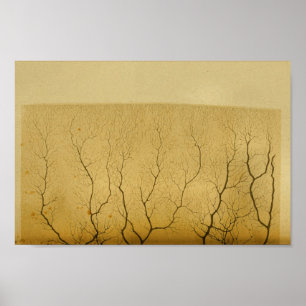 Póster Nervios del sistema nervioso central del vintage