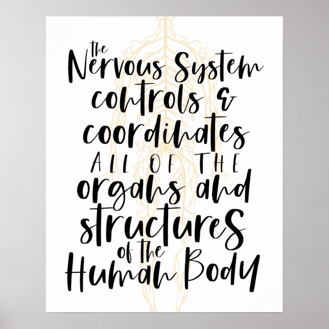 Póster Nervous System Poster, Chiropractic Poster, Chiro  (Frente)
