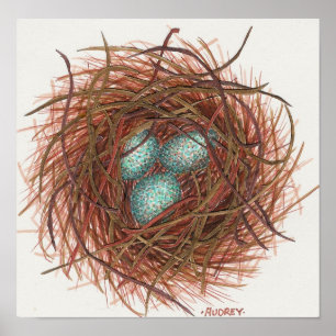 Póster Nest de Robin