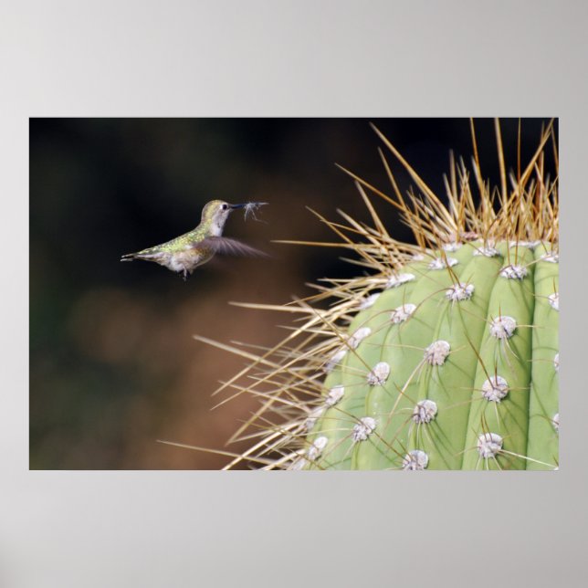 Póster Nest Maker (Frente)