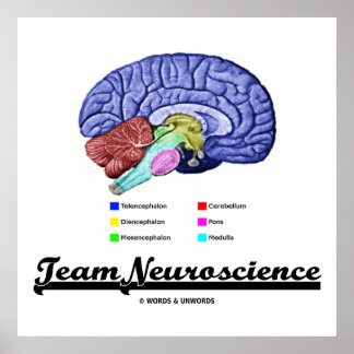 Póster Neurociencia de equipo (Actitud de anatomía cerebr