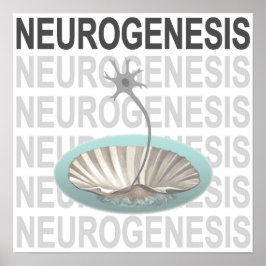 Póster Neurogénesis