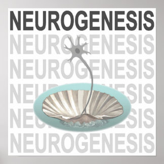 Póster Neurogénesis